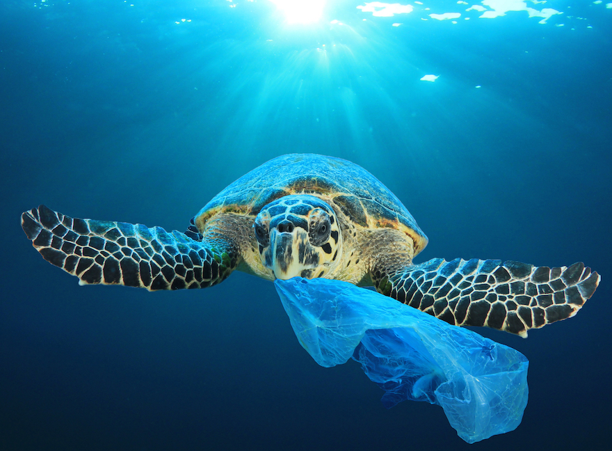Boyan Slat, il 27enne olandese che ripulisce gli oceani dalla plastica